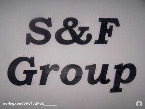 s&f group temizlik